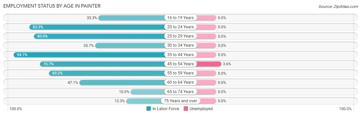 Employment Status by Age in Painter