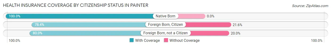 Health Insurance Coverage by Citizenship Status in Painter