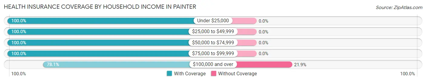 Health Insurance Coverage by Household Income in Painter