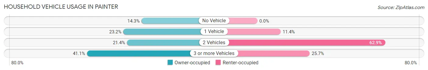 Household Vehicle Usage in Painter