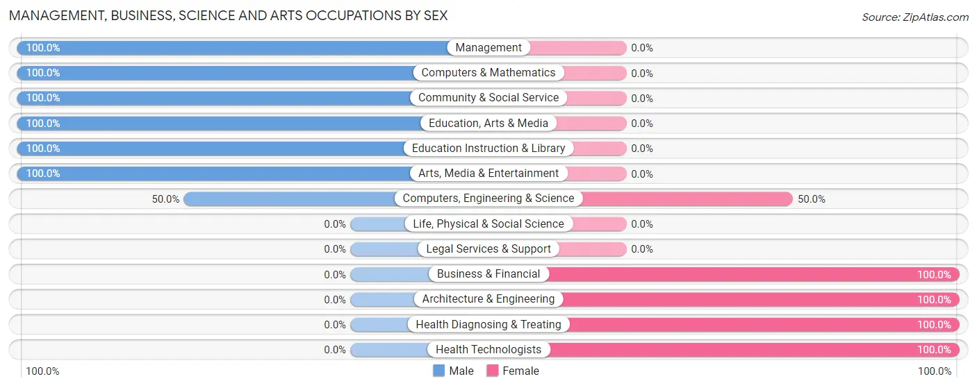 Management, Business, Science and Arts Occupations by Sex in Painter