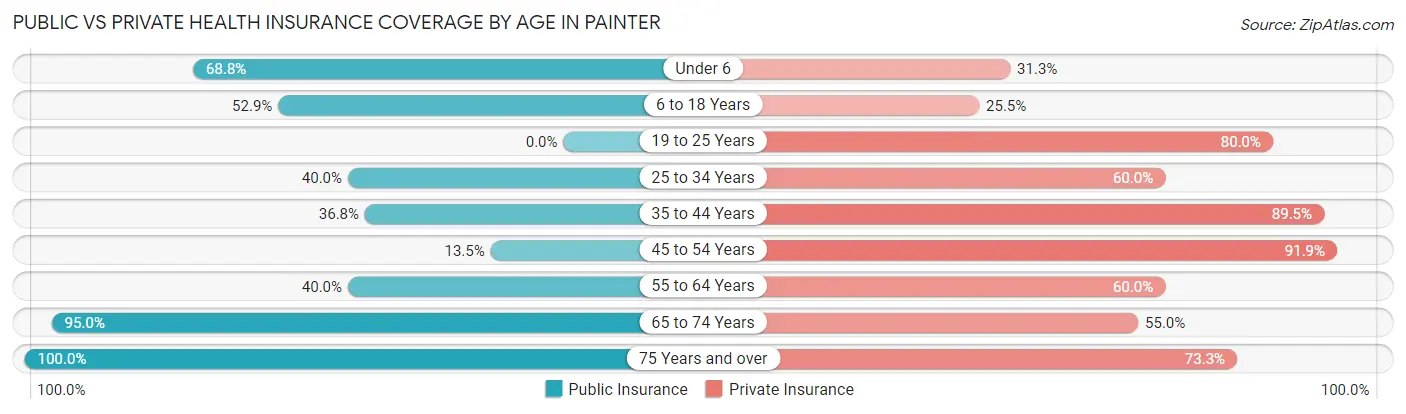 Public vs Private Health Insurance Coverage by Age in Painter