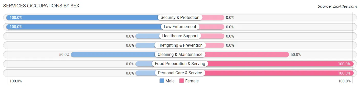Services Occupations by Sex in Painter