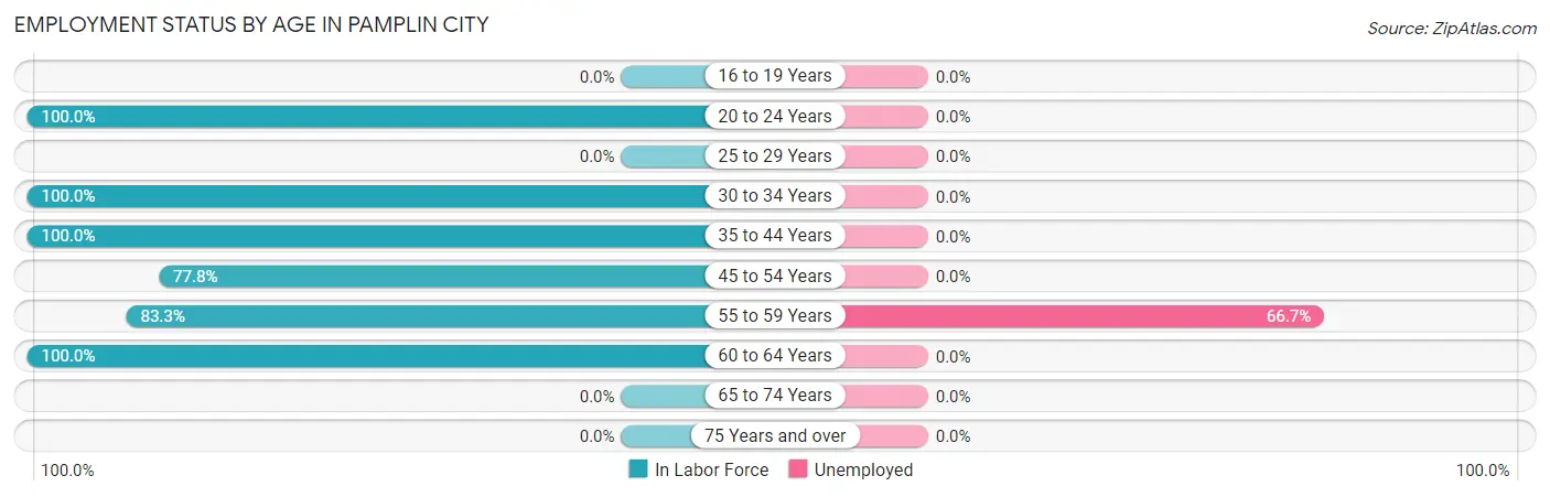 Employment Status by Age in Pamplin City
