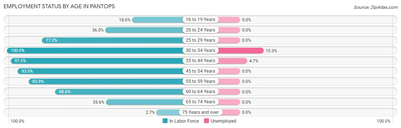Employment Status by Age in Pantops