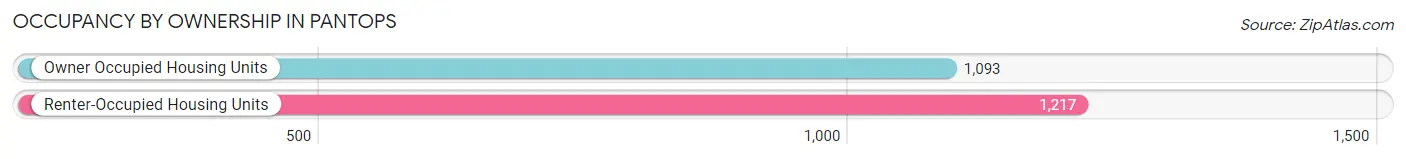Occupancy by Ownership in Pantops