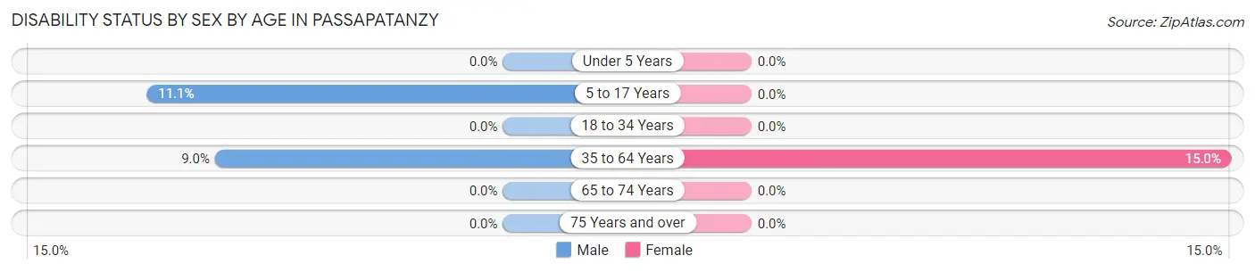 Disability Status by Sex by Age in Passapatanzy