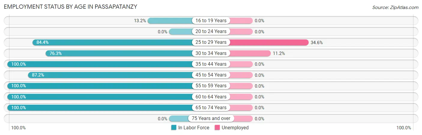 Employment Status by Age in Passapatanzy