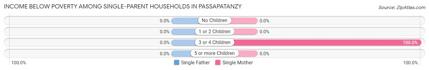 Income Below Poverty Among Single-Parent Households in Passapatanzy