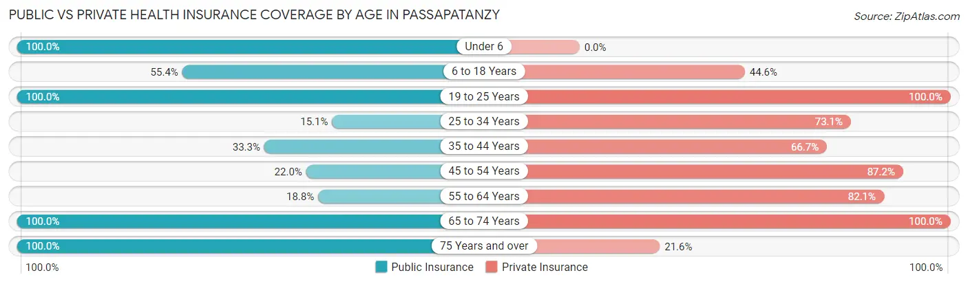Public vs Private Health Insurance Coverage by Age in Passapatanzy