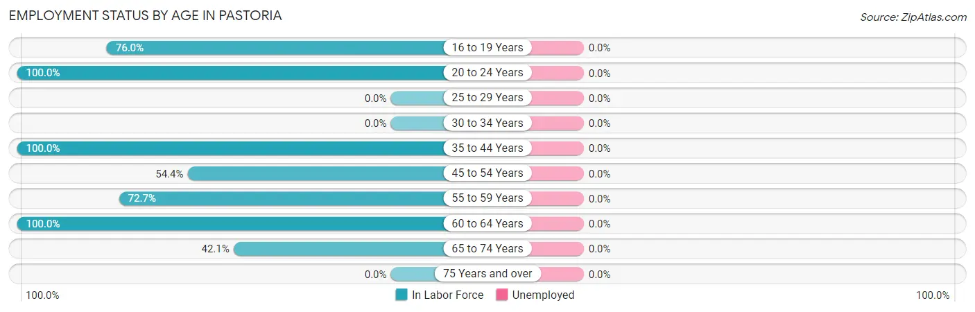 Employment Status by Age in Pastoria