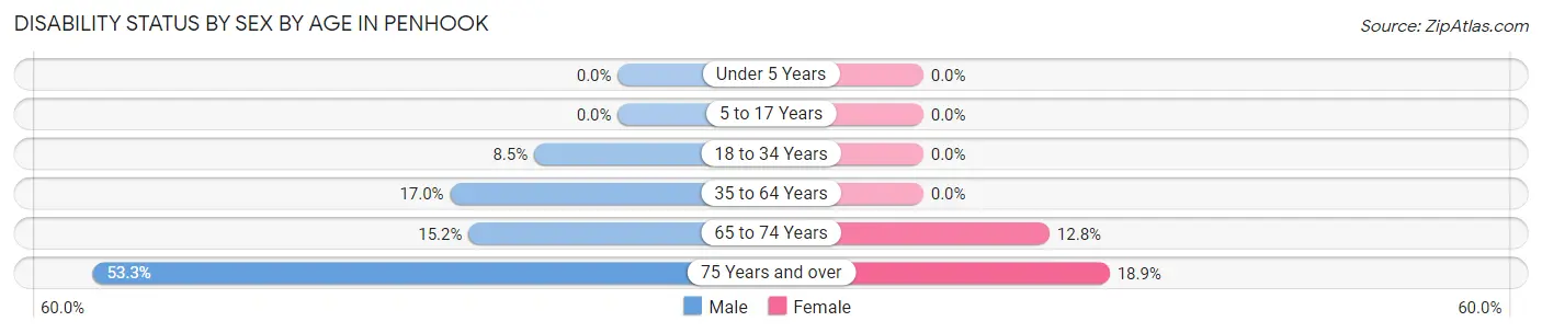 Disability Status by Sex by Age in Penhook
