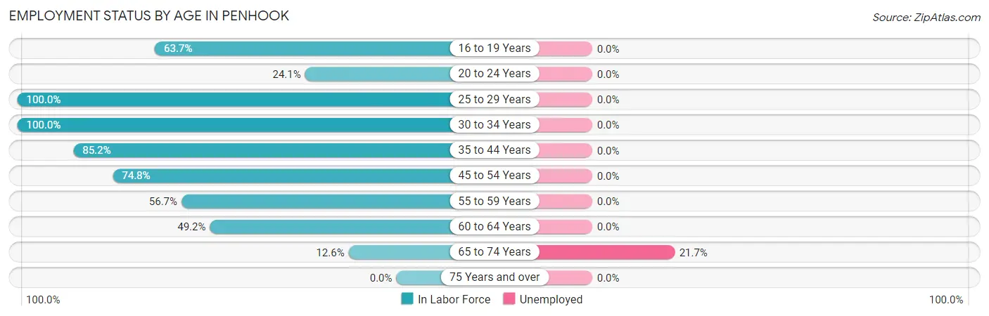 Employment Status by Age in Penhook