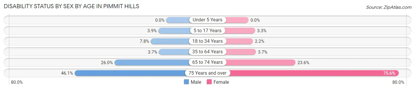 Disability Status by Sex by Age in Pimmit Hills