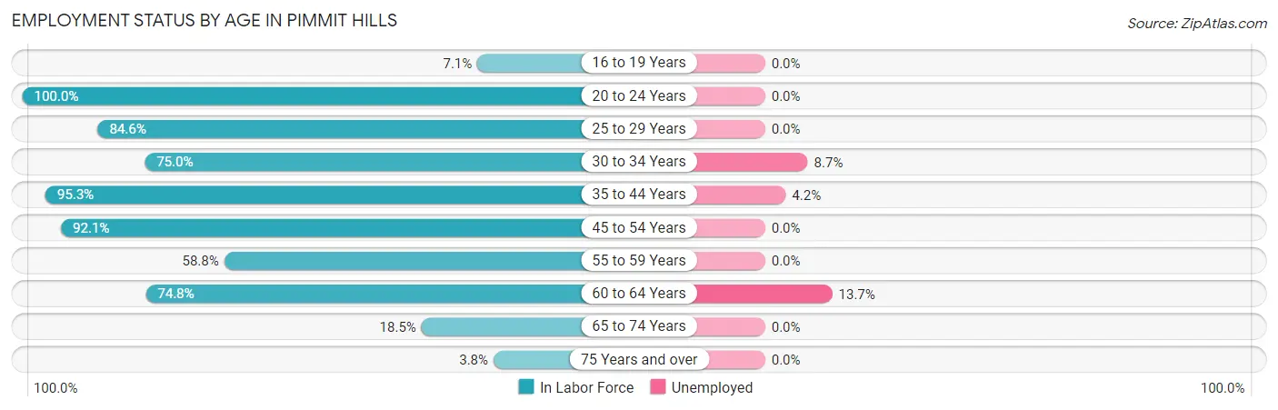 Employment Status by Age in Pimmit Hills
