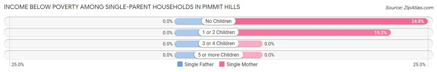 Income Below Poverty Among Single-Parent Households in Pimmit Hills