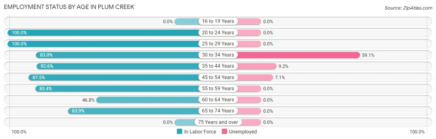 Employment Status by Age in Plum Creek