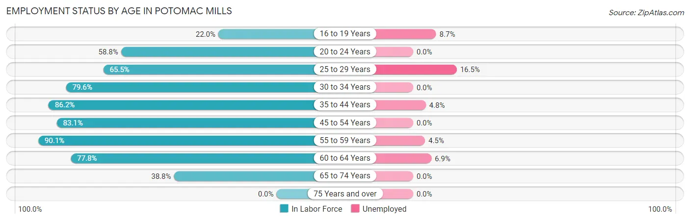 Employment Status by Age in Potomac Mills