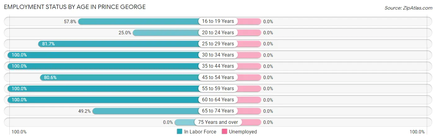 Employment Status by Age in Prince George