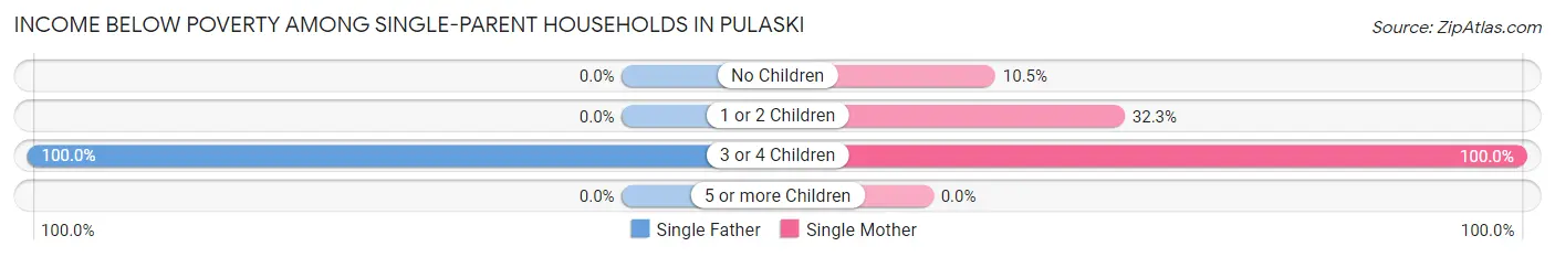 Income Below Poverty Among Single-Parent Households in Pulaski