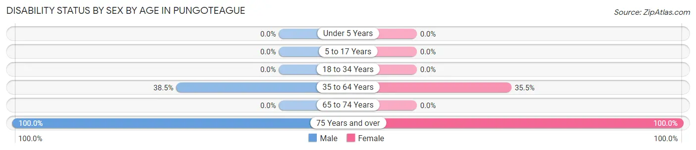 Disability Status by Sex by Age in Pungoteague
