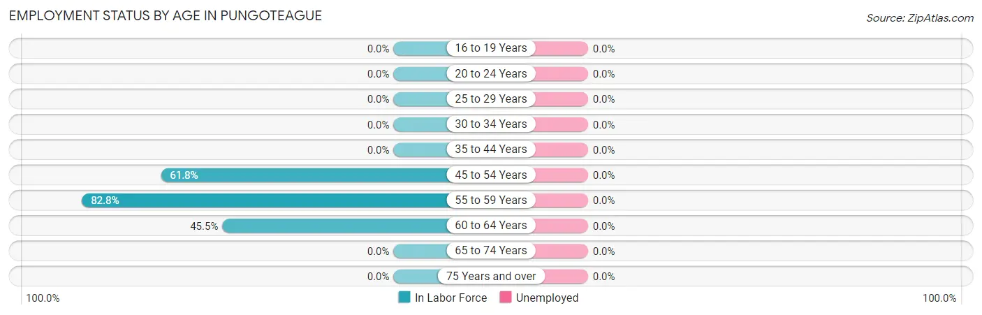 Employment Status by Age in Pungoteague