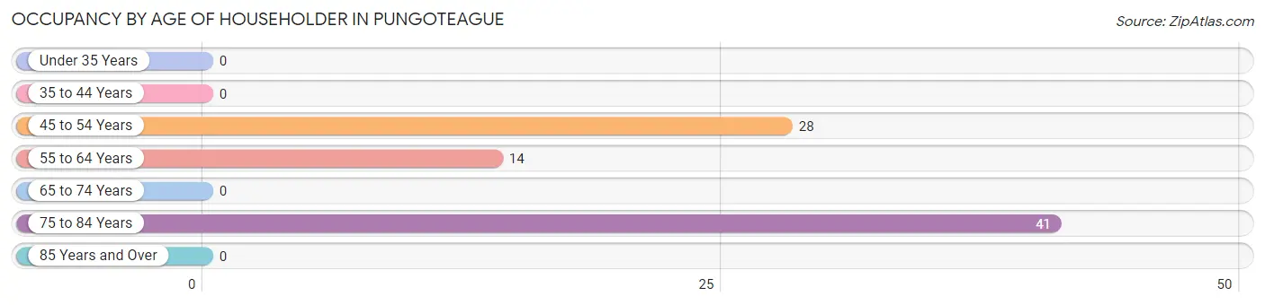 Occupancy by Age of Householder in Pungoteague