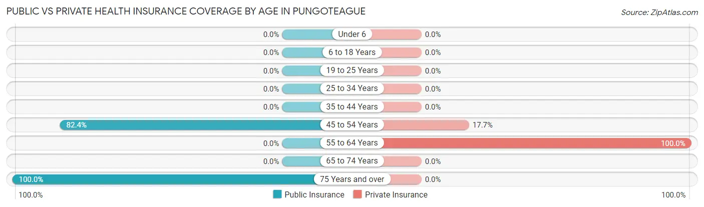 Public vs Private Health Insurance Coverage by Age in Pungoteague