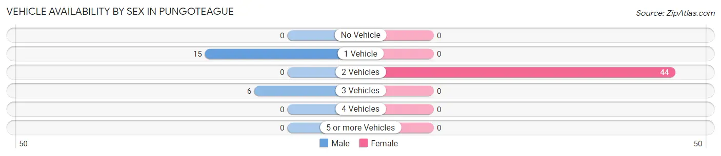 Vehicle Availability by Sex in Pungoteague