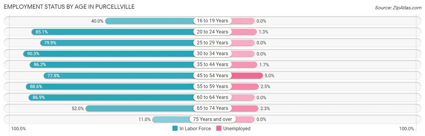 Employment Status by Age in Purcellville