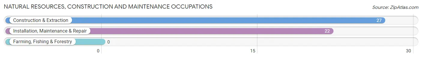 Natural Resources, Construction and Maintenance Occupations in Quinby