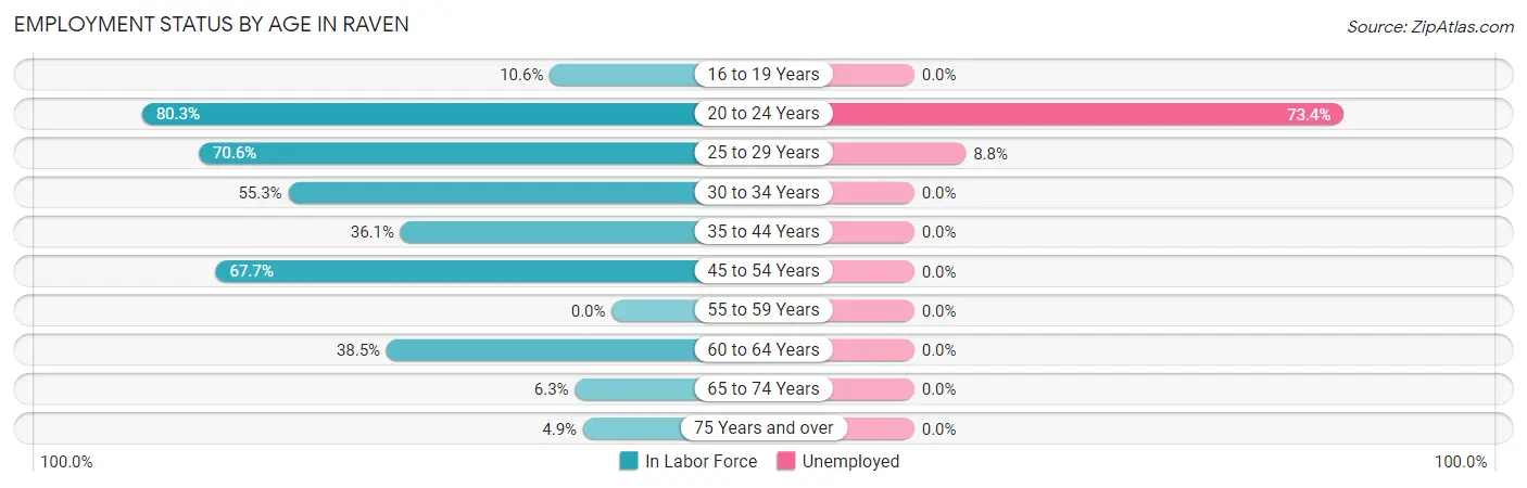 Employment Status by Age in Raven