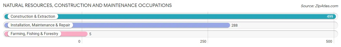 Natural Resources, Construction and Maintenance Occupations in Reston