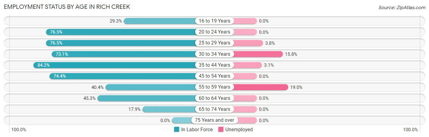 Employment Status by Age in Rich Creek
