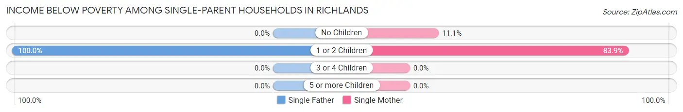 Income Below Poverty Among Single-Parent Households in Richlands