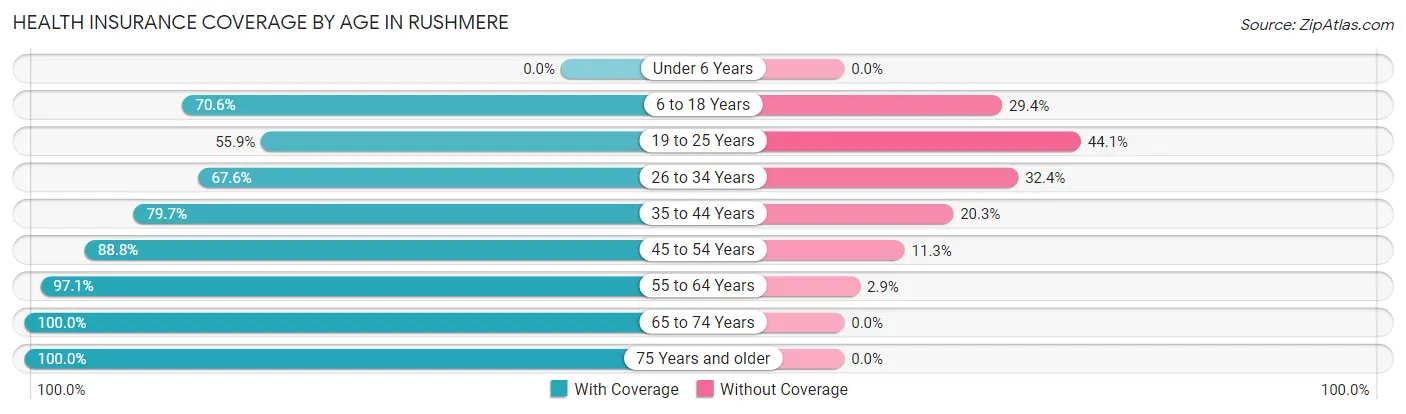 Health Insurance Coverage by Age in Rushmere