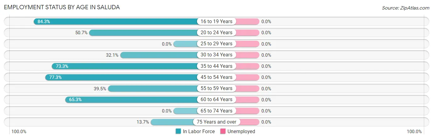 Employment Status by Age in Saluda