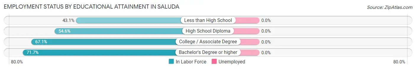 Employment Status by Educational Attainment in Saluda
