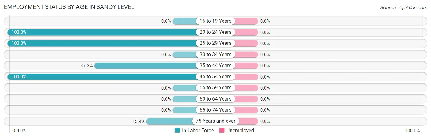 Employment Status by Age in Sandy Level