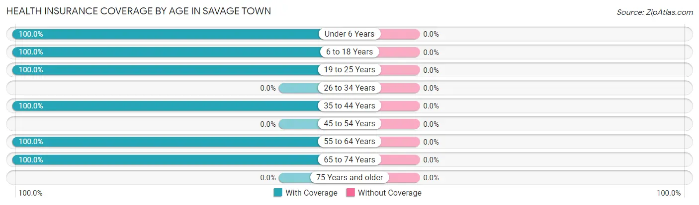 Health Insurance Coverage by Age in Savage Town
