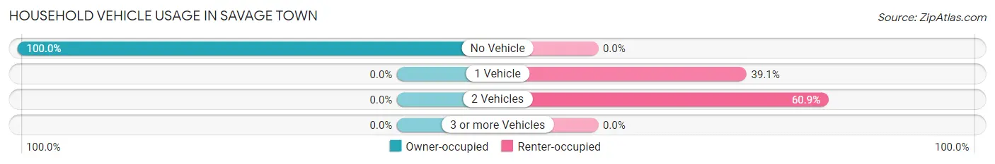 Household Vehicle Usage in Savage Town
