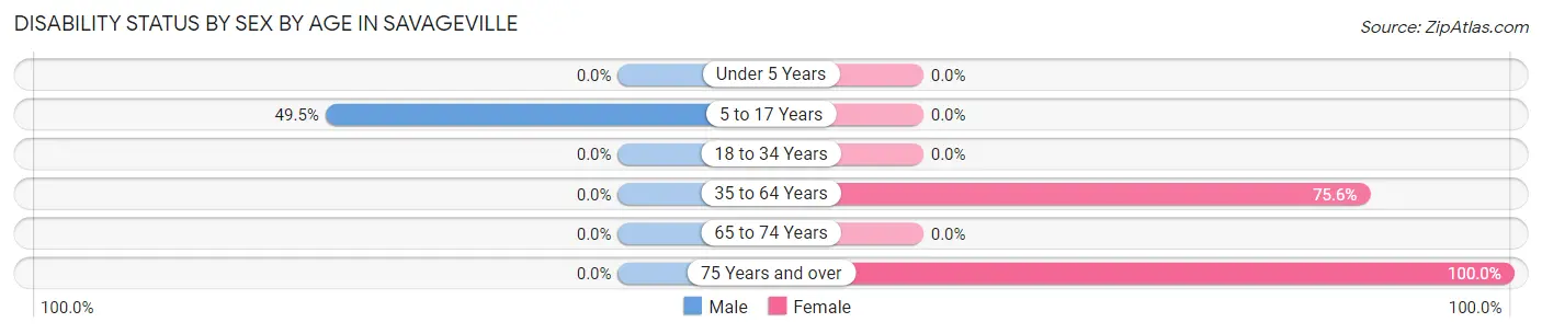 Disability Status by Sex by Age in Savageville