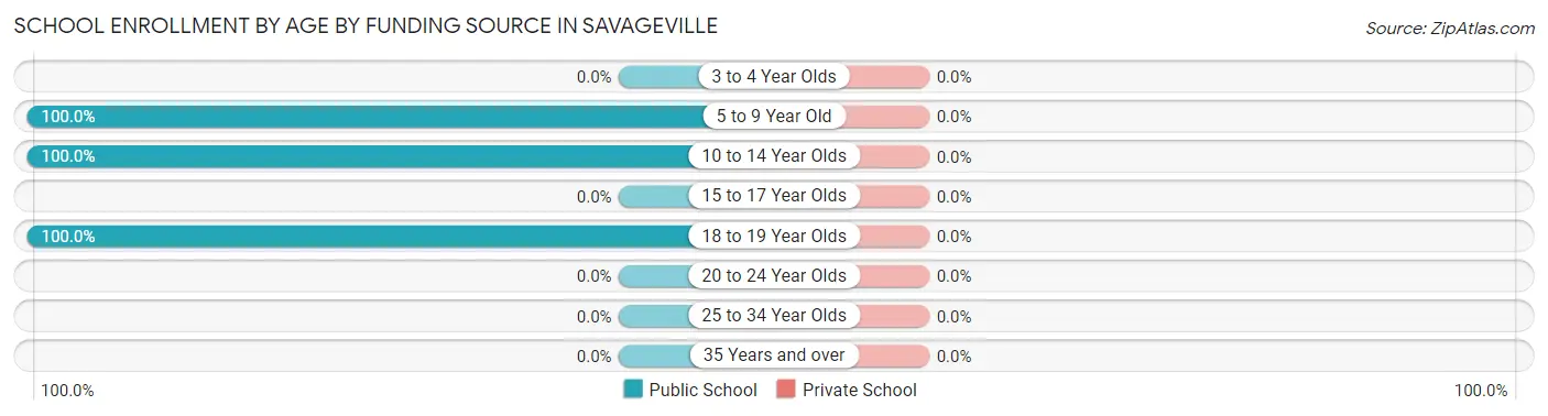 School Enrollment by Age by Funding Source in Savageville