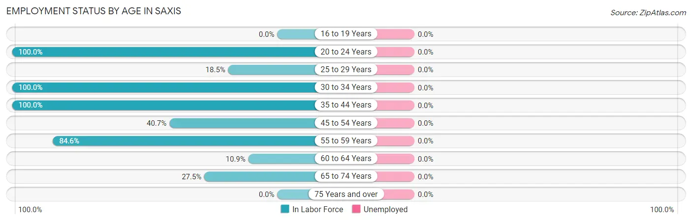 Employment Status by Age in Saxis