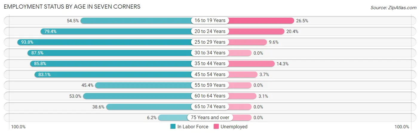 Employment Status by Age in Seven Corners
