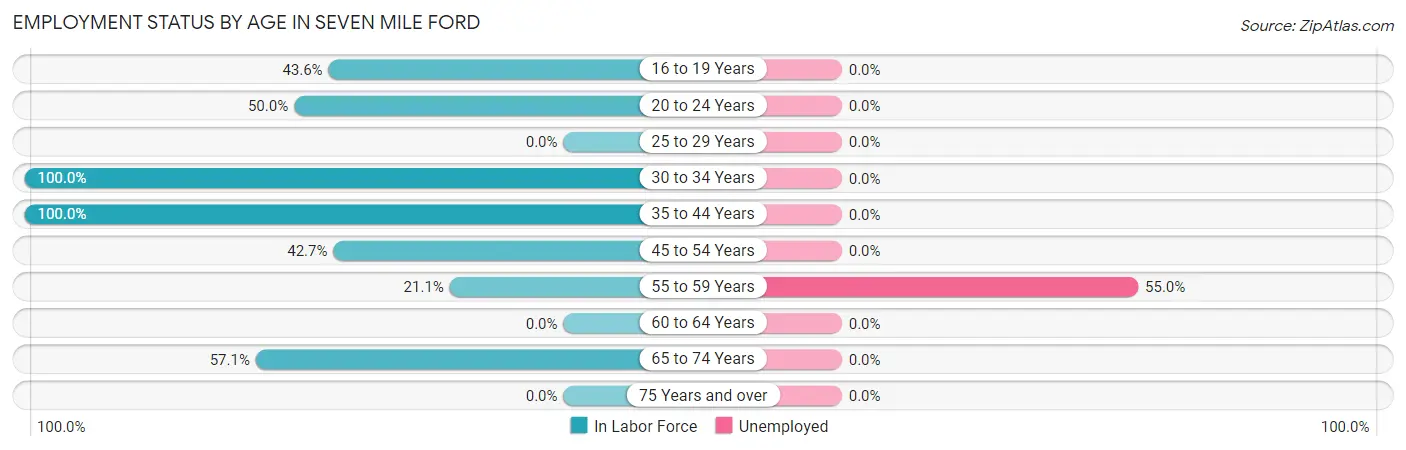Employment Status by Age in Seven Mile Ford