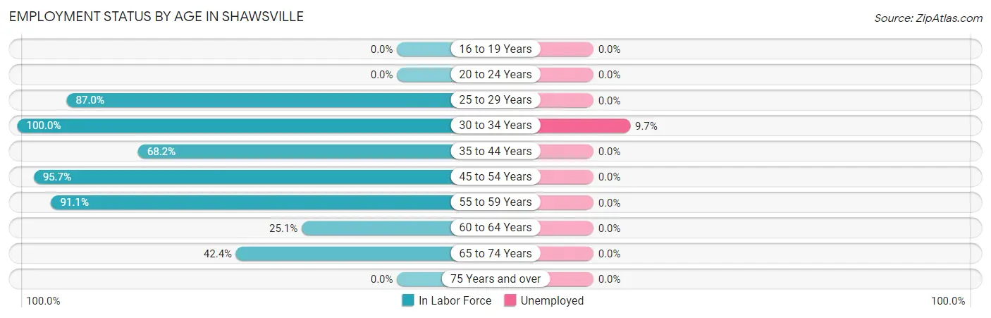 Employment Status by Age in Shawsville
