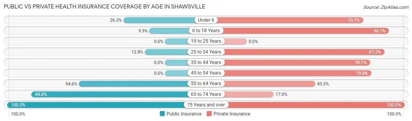 Public vs Private Health Insurance Coverage by Age in Shawsville