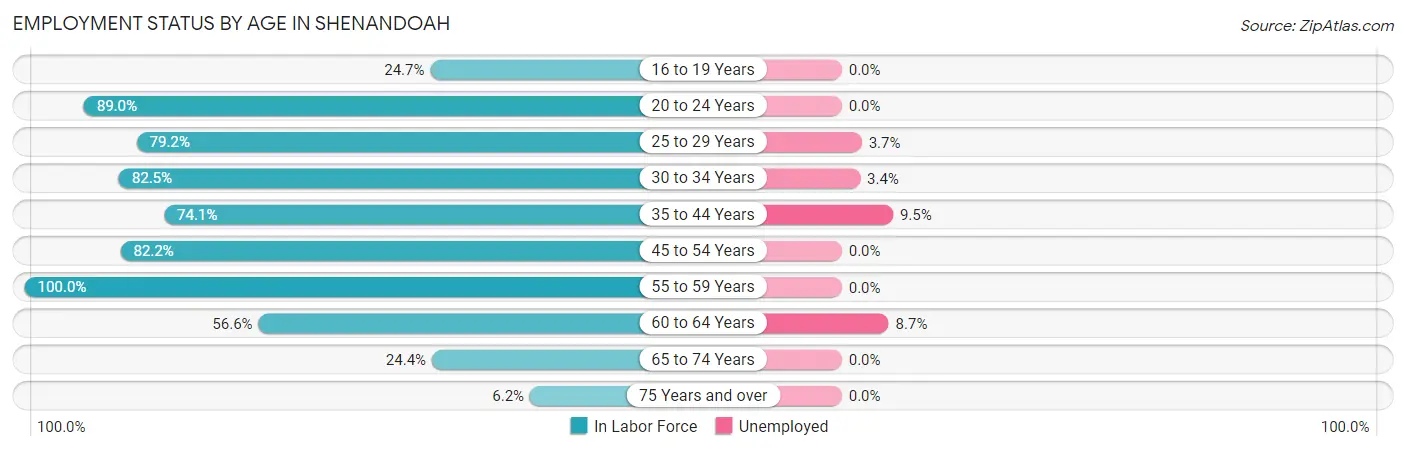 Employment Status by Age in Shenandoah