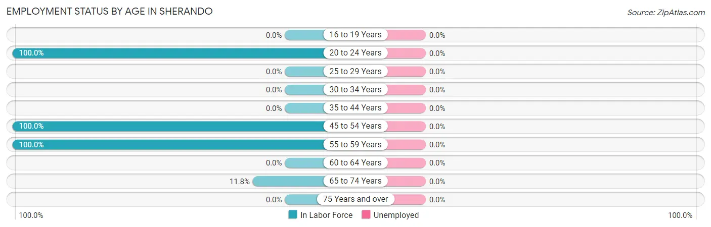 Employment Status by Age in Sherando